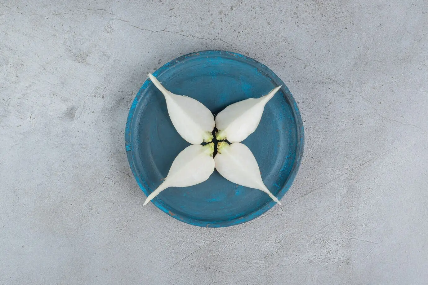 Ein dunkelblauer Teller mit Knoblauch vor grauem Hintergrund. Hochwertiges Foto.