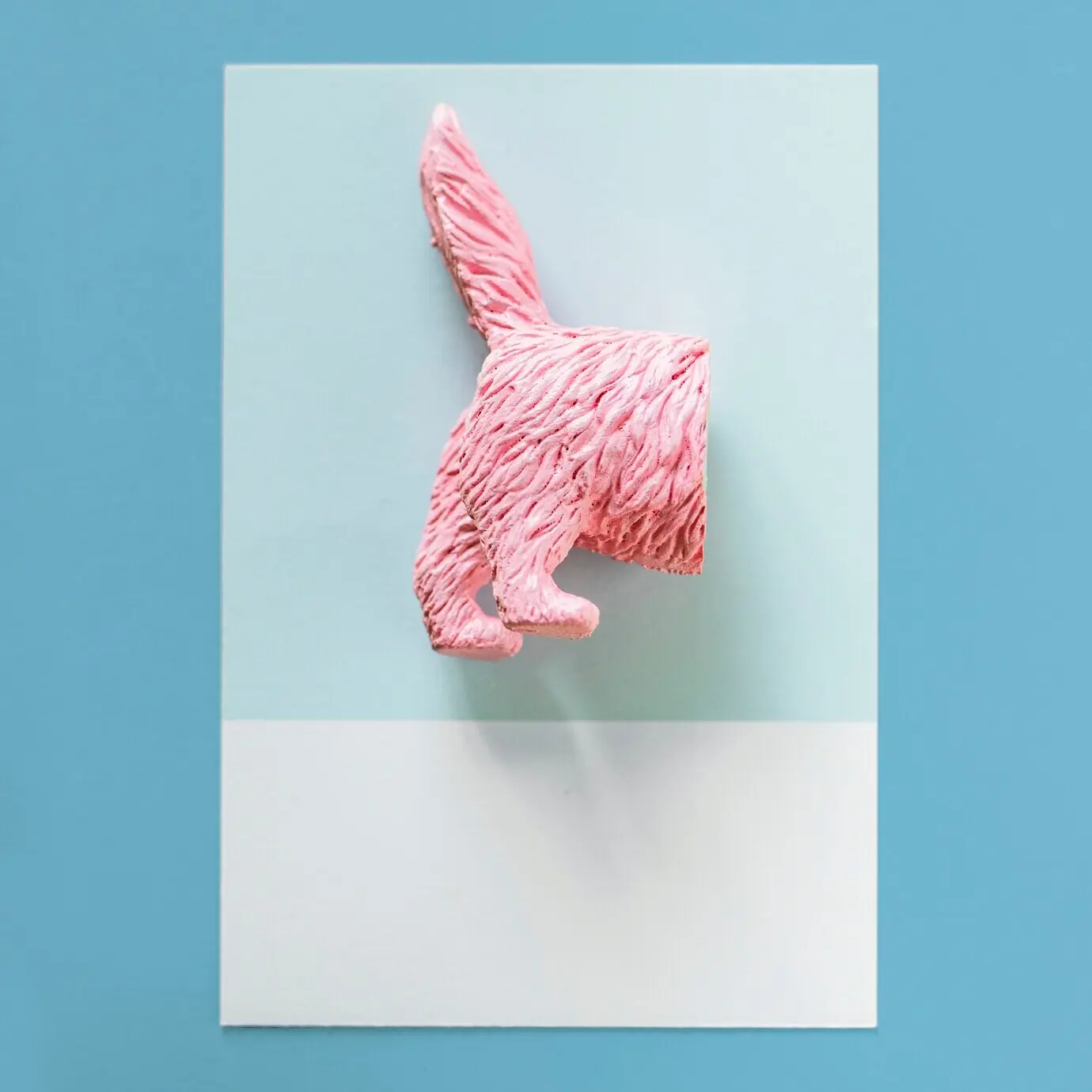 Die Hälfte einer Katze auf buntem Papier.