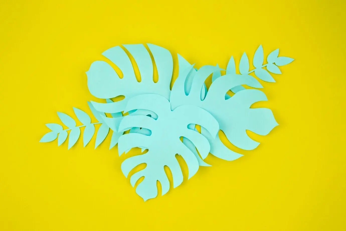Monstera-Blätter im Papierschnitt-Stil auf gelbem Hintergrund.